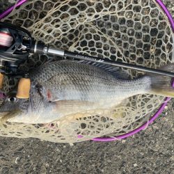 夕方2時間チニング！