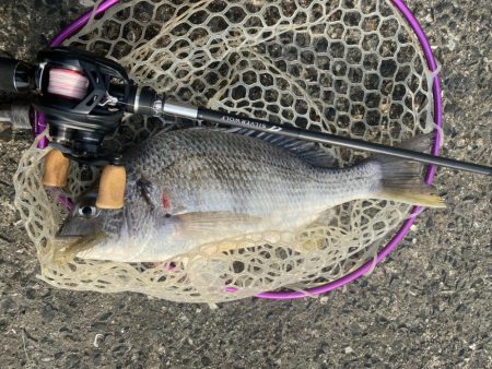 夕方2時間チニング！