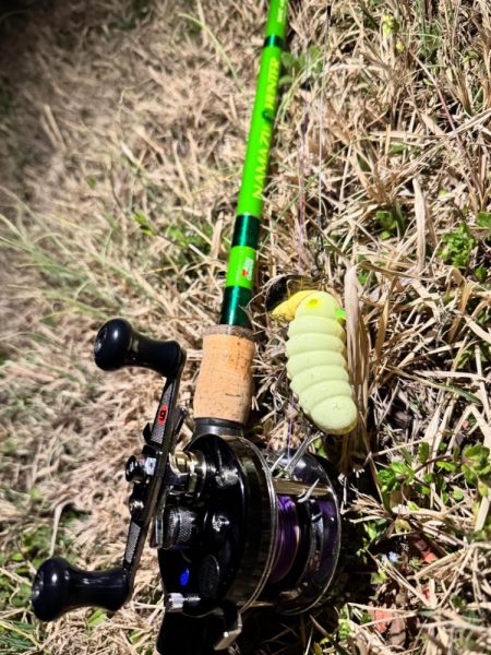 私も2025年、ナマズ開幕しました！！