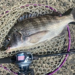 季節の変わり目激渋チニング!