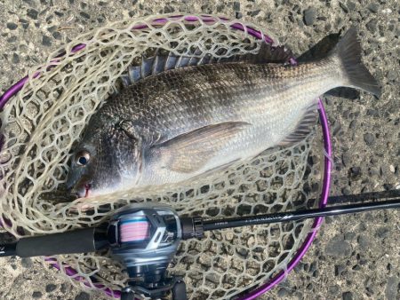季節の変わり目激渋チニング！