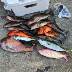 ダイソージグで根魚