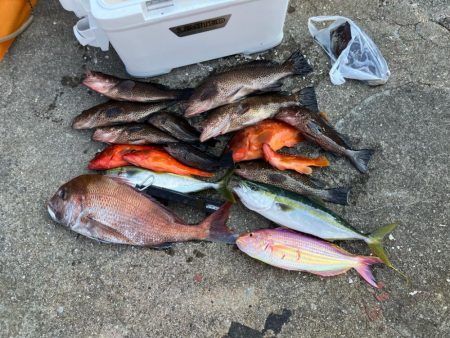 ダイソージグで根魚