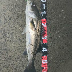 薄霧立ち込める新月周りのヒルつきアフター