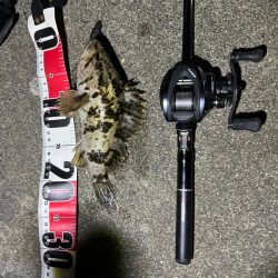 春のライトロック