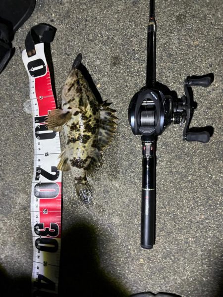 春のライトロック