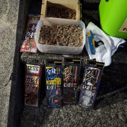 花見ガレイを狙いに