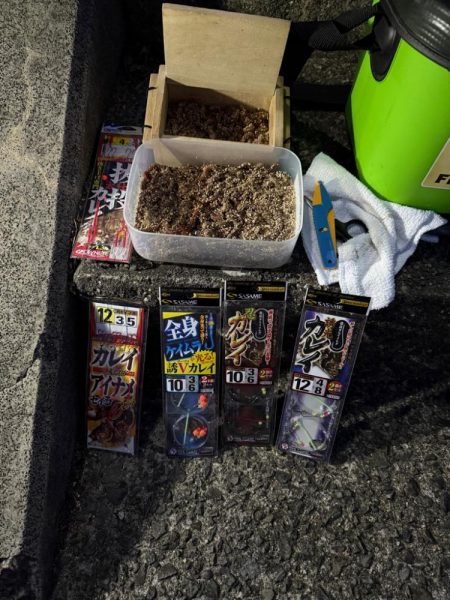 花見ガレイを狙いに