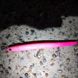 フッコ45cmと38cm