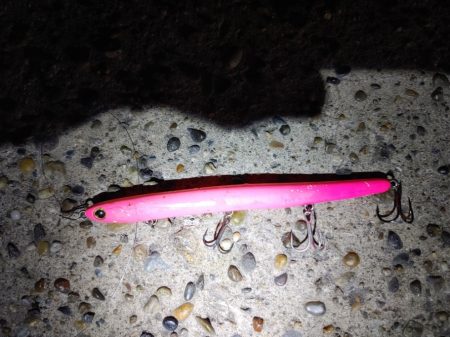 フッコ45cmと38cm