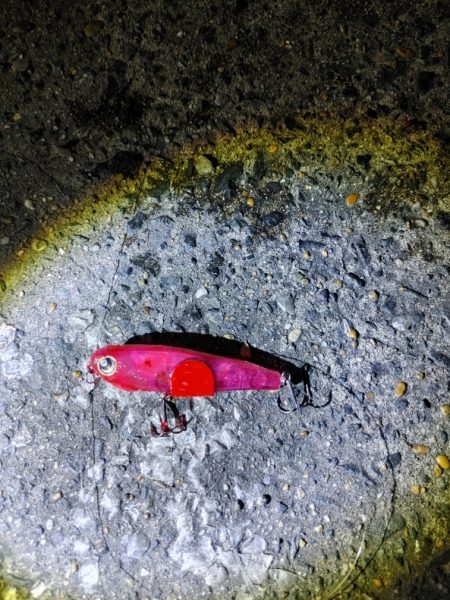 フッコ38cmと40cm