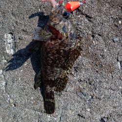 寒の戻り、穴釣り釣行