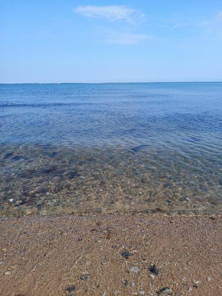 青天、浜からボラフィッシング