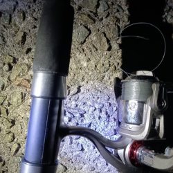 夜の投釣り〜野田