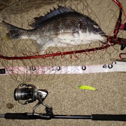 強風のなかなんとかヒット