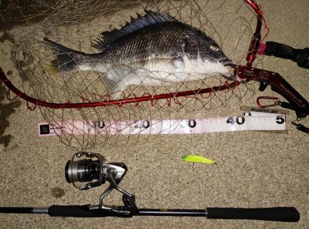 強風のなかなんとかヒット