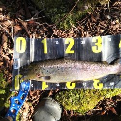 芦ノ湖解禁2日目