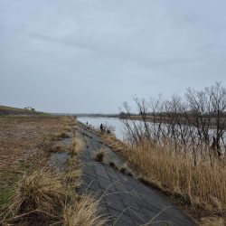 寒い雨で活性低い