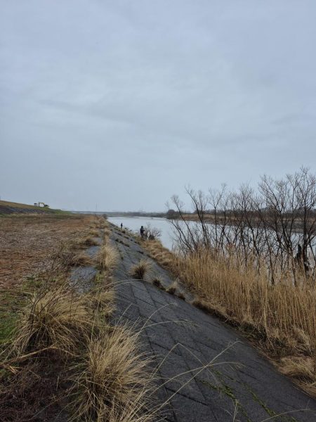 寒い雨で活性低い