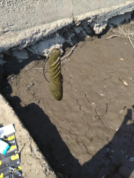 カバスキャで1本