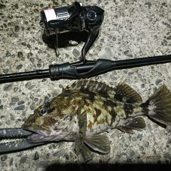 短時間ながら久しぶりの釣行