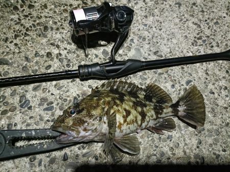 短時間ながら久しぶりの釣行