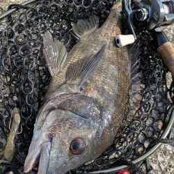 広島チニングワチャ会