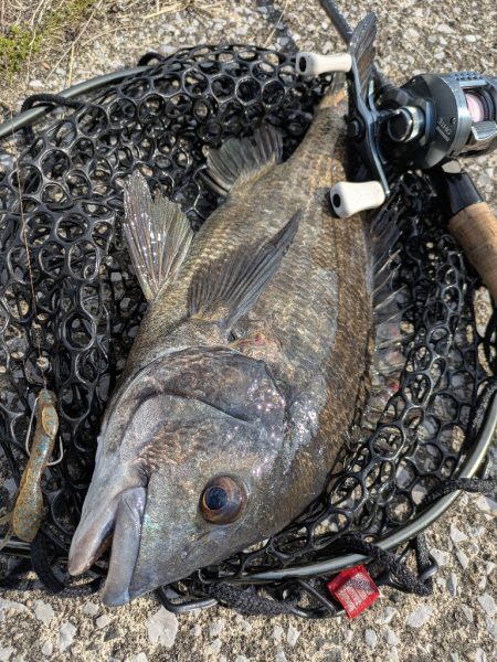 広島チニングワチャ会