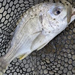 広島チニング雨パワー炸裂？