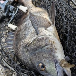 雪チラつく広島チニング