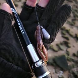 しごおわチニング