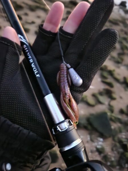 しごおわチニング