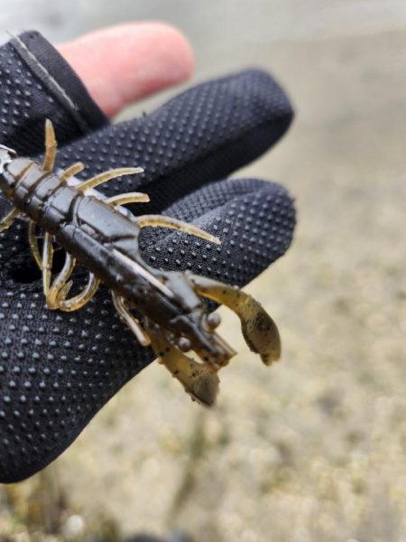 スキマチニング