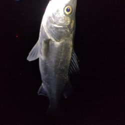 ハンドランディング