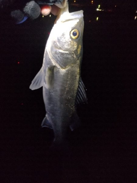 ハンドランディング