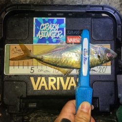 春パターンアジング