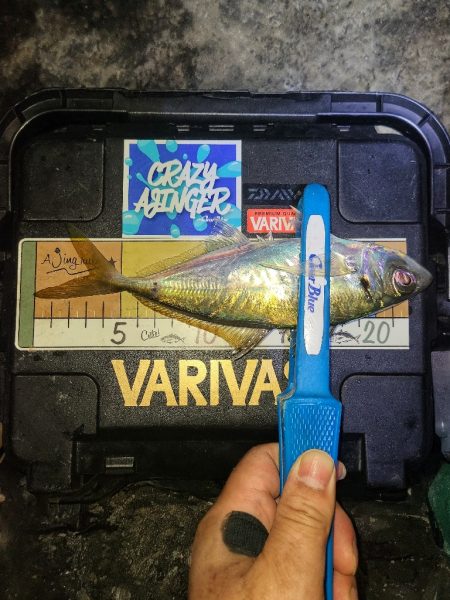 春パターンアジング