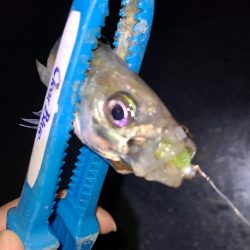 また冬に舞い戻り