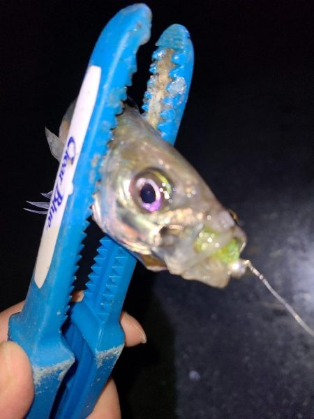 また冬に舞い戻り