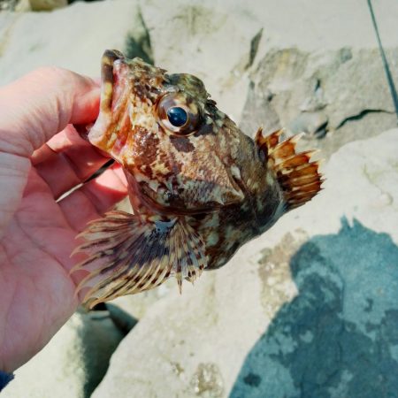 まだキスには早い…