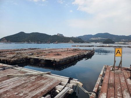 久しぶりの海上釣堀
