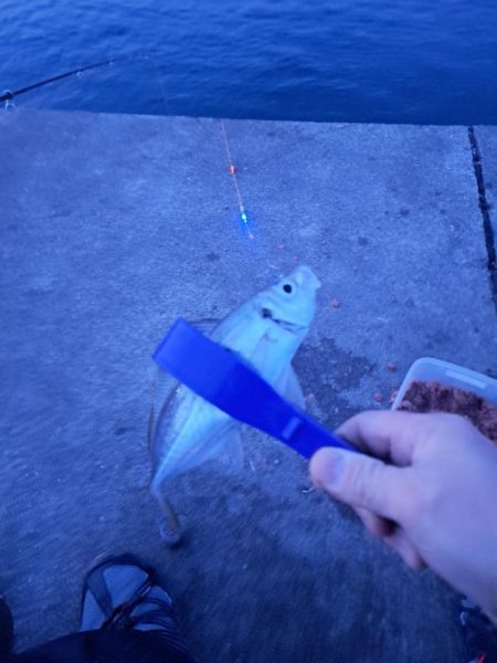 真夜中のアジ釣り