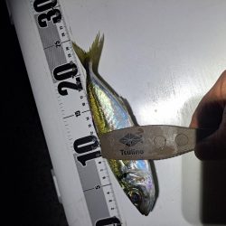 地合いわずか10分