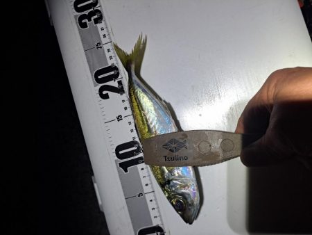 地合いわずか10分