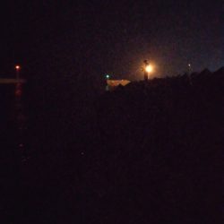 ウグイ…（お）