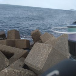 久しぶりの釣果