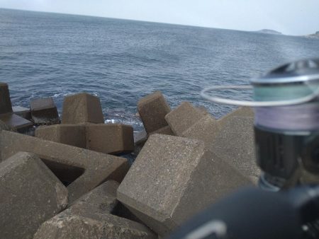 久しぶりの釣果