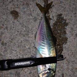 迷ったあげくに