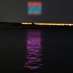 湾奥はまだまだですね。