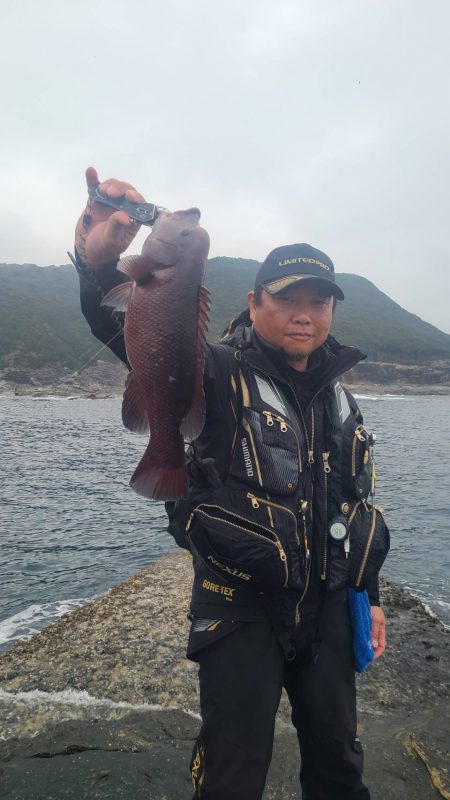 和歌山市江(吉丸渡船)でグレ釣りの予定が・・